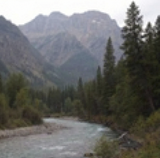 River running through a lush green forest, with tall trees on either side and majestic mountains in the background — sample image to creatively upscale