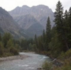 River running through a lush green forest, with tall trees on either side and majestic mountains in the background — sample image to creatively upscale