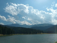Large body of water surrounded by lush green grass and trees — sample image to sharpen
