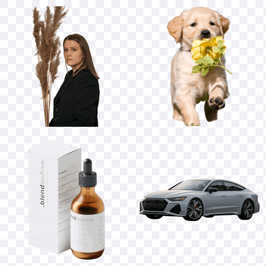 Four benchmark cut-outs on a transparency checkerboard: a woman in a dark blazer beside dried pampas grass, a golden retriever puppy carrying flowers, a serum bottle with its carton, and a silver saloon car