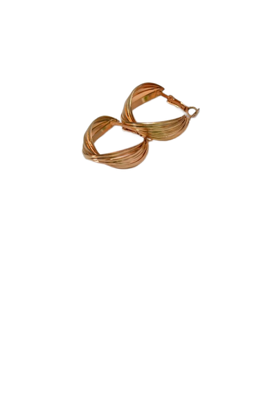 A pair of gold hoop earrings on a white tray — background removed by Erase.bg