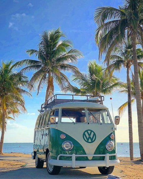 A green and white camper van parked on a beach under palm trees