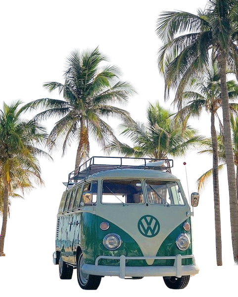 A green and white camper van parked on a beach under palm trees — background removed by Remove.bg
