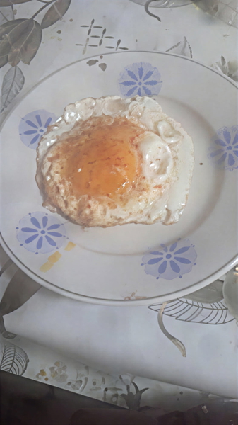Fried egg on a white plate with a blue floral pattern — upscaled by GoStudio Pro