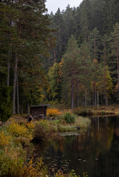 Forest lake at dusk with a timber shelter on the bank, conifers and autumn undergrowth — upscaled by GoStudio Advanced