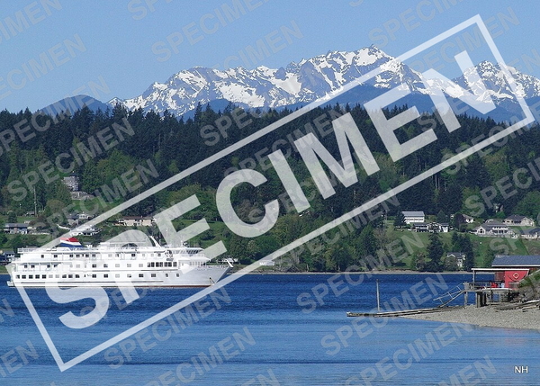 Small white cruise ship on blue water below forested hills and snow-capped mountains