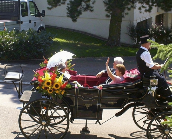 Couple waving from an open horse-drawn carriage decorated with sunflowers — watermark removed by GoStudio Advanced