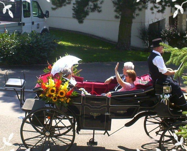 Couple waving from an open horse-drawn carriage decorated with sunflowers — watermark removed by GoStudio Lite