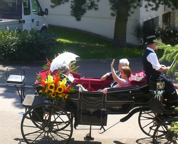 Couple waving from an open horse-drawn carriage decorated with sunflowers — watermark removed by GoStudio Pro