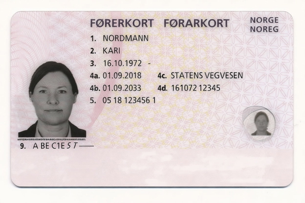 Norway’s published specimen driving licence, issued to the placeholder name Kari Nordmann — watermark removed by GoStudio Pro