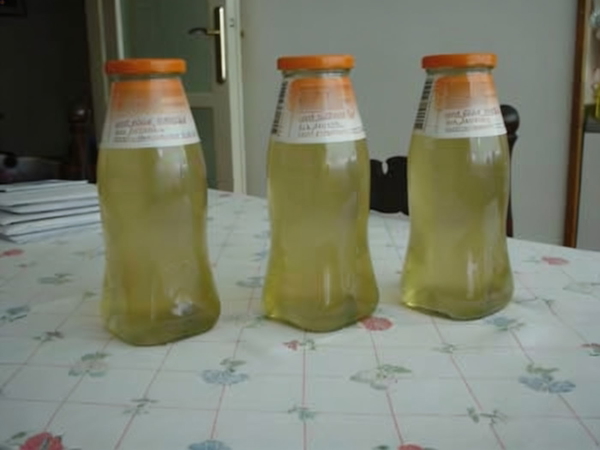 Three glass bottles of pale yellow liquid on a patterned tablecloth — watermark removed by GoStudio Advanced