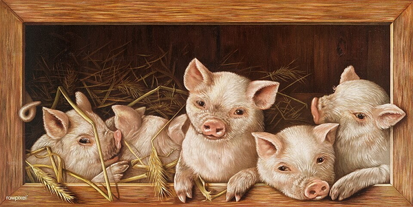 Painting of five piglets looking out of a wooden crate of straw