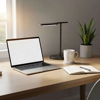Sample desk photo with a laptop, desk lamp, mug and plant to try in the AI image replacer