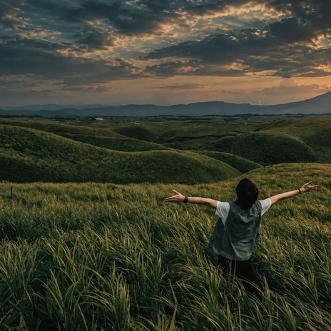 A hillside grass field, dark and murky under a dusk sky, before AI color correction A hillside grass field, dark and murky under a dusk sky, before AI color correction